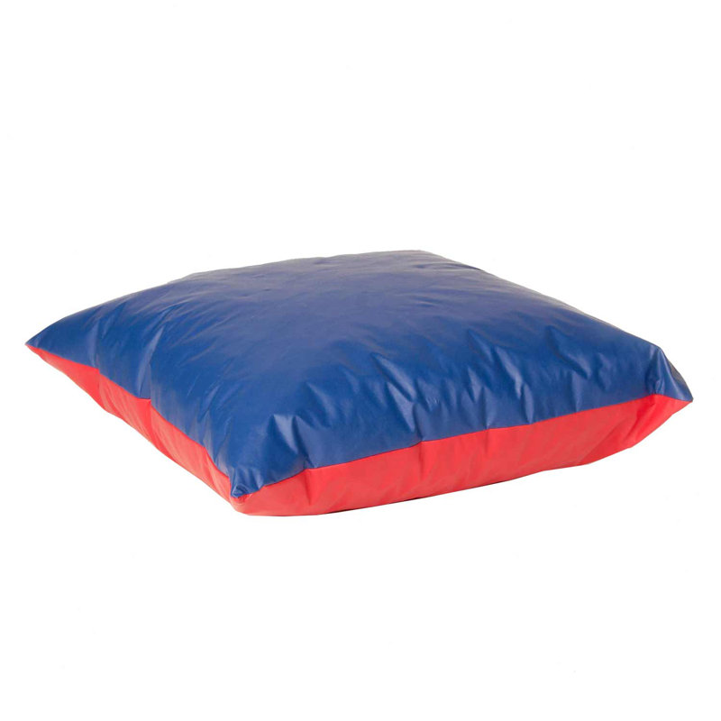 Foamnasium Floor Pillow & Reviews Wayfair